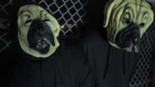 Coleman Hell - Preylude (Official Video)