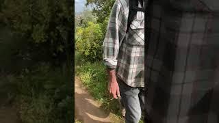 a caminho da limpeza
