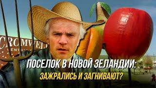 Из России в новозеландскую глубинку, жизнь в поселке на краю света, это вам не Патрики