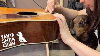 A Young Girl and a Small Dog Do a Neck Reset on an Old Guitar