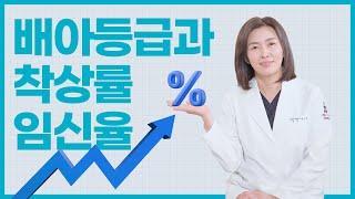 배아 등급과 임신율