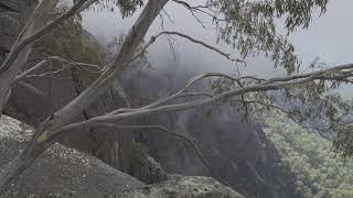 Southern Australian Landscape 4K