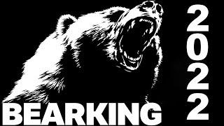 Лучшие Новые Воблеры от BearKing. Детальный обзор с игрой воблеров.