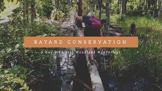 Bayard Conservation Area in Clay County Florida, Green Cove Springs