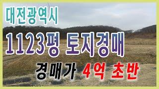 [부동산추천] 대전광역시 1,123평 토지(답) 경매가 4억 2천 / 권리분석 음성+자막v