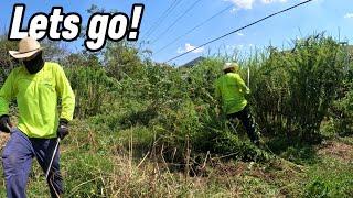 They WARNED us to not CUT this EXTREMELY OVERGROWN yard