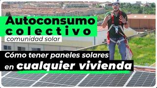 Autoconsumo colectivo: Cómo tener paneles solares si no los puedes instalar en tu vivienda