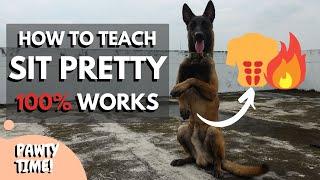 Teach Your Dog To Sit Pretty | Still Can't Sit Pretty? Try This Method!