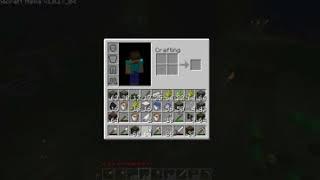 Live Show Procaster Mon Aug 30 2010 11 24 42 AM on Minecrafterryday   live streaming video powere