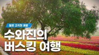 [수와진의 버스킹여행] #철원고석정꽃밭 (24.10.21) 월요일 함께 즐겨보는 음악방송!