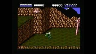 Battletoads (NES - PAL) | 2 players | No warps [1/6]