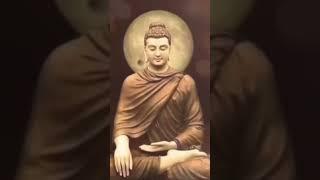 Hãy mau thức tỉnh tu hành làm lành lánh dữ