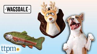 The Great Outdoors Plush Dog Toys from Wagsdale Review!