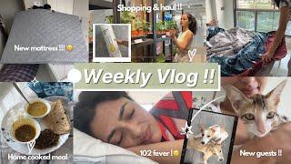 WEEKLY VLOG  managing things, got sick, new guests + mini ikea haul ! Moving ep4