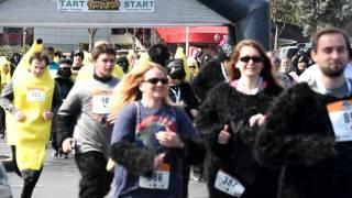 2017 Cincinnati Gorilla Run 5K Race by CincyPhotography