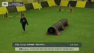 20221217 점핑 김성실 라엘