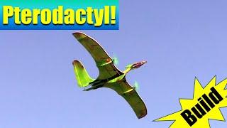 How to Build & Fly a Lightweight RC Pterodactyl | 250g DIY Twin Motor  RX42BL Aircraft Guide