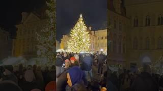 Merry Christmas  from Prague Old Town Square #shorts #christmas #travel #prague #europe