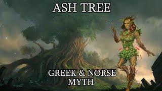 Dryads of the Ash Tree: Origin of Man