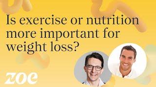 Is Exercise or Nutrition More Important for Weight Loss? | ZOE Science and Nutrition Podcast