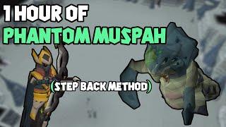 1 Hour of Phantom Muspah Examples (Step Back Method)