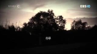 7일간의 기적  지식채널e EBS