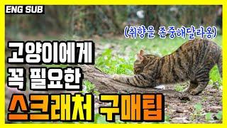 고양이가 좋아하는 스크레쳐의 종류와 형태