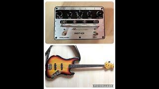 Ampeg SGT DI + Vintage Fretless Bass
