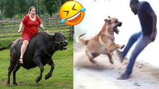 Crazy Funniest Videos Ever In The World | Try Not To Laugh Challenge | Laugh Till You Cry Vol 48