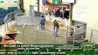 Bowie Texas Livestock January 5th Open Sale!