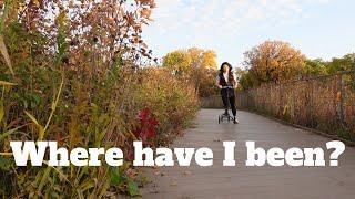 Life Updates & Fall in Chicago | toriannsharpe