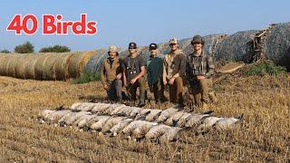 South Dakota OPENING WEEKEND Goose Hunting (60 birds)