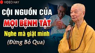 Cội Nguồn Của Mọi Bệnh Tật và Cách Giải Trừ Bệnh Tật - Hòa Thượng Thích Trí Quảng