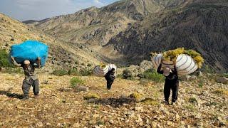 Nomadic Life: Nomadic Family Adventures | Nomadic Herding and Animal Food Gathering