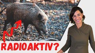 Wild - DAS solltet ihr darüber wissen! | Ernährungsexpertin Dagmar von Cramm erklärt