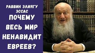 Почему весь мир ненавидит евреев? | раввин Элиягу Эссас