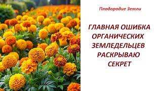 Чего не понимали все кто практиковал органическое земледелие?