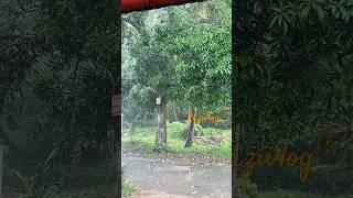 #rain ️ #villagelife #razivlog