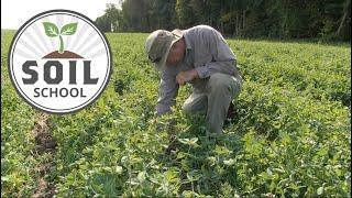 Soil School: Ideas and Innovation with Woody Van Arkel