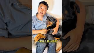 一天800个心眼子，每一个是好心眼…… #拉登与阿亮的日常生活