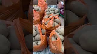 Беларусь  МинскРынок️Ценана картофель  Март2025️️️