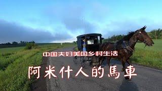 凌晨6点，一个中国人独自一人行走在美国纽约州乡村公路上，看看他遇到了什么？