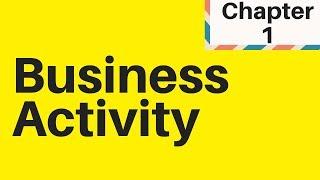 1.1 Understanding Business Activity IGCSE Business studies