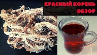 КРАСНЫЙ КОРЕНЬ(Копеечник, Медвежий корень) - Обзор