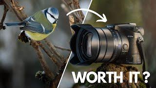 Sony 24-600mm SUPER ZOOM no one talks about