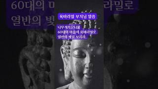 나무석가니불, 60대의 마음이 육바라밀로 열반의 빛을 보리라 | #부처님말씀 #명언 #인생조언