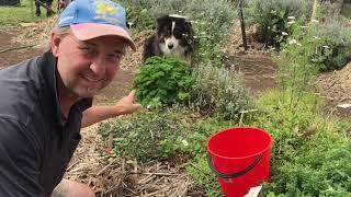 home made jam - Farming Amaphupho