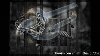 CHUYỆN ĐÊM KHUYA DÀNH CHO NGƯỜI LỚN | Chuyện Con Chim - Thầy Giáo 9x Nguyễn Thái Dương