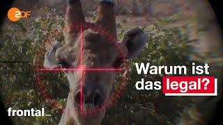 Giraffe, Elefant & Co – Deutsche Touristen auf Jagd | frontal