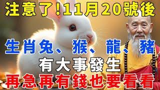 11月20號，農曆10月20文殊菩薩「出道日」過後，生肖兔、猴、龍、豬有大事發生，再急再有錢也要看看！【禪語明心】#生肖 #運勢 #風水 #財運  #生肖運勢 #生肖運程